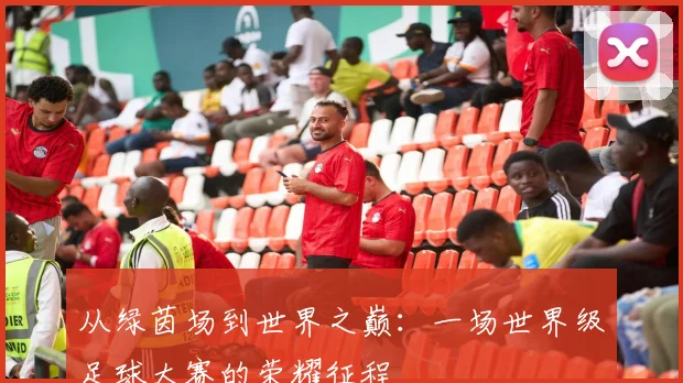 从绿茵场到世界之巅：一场世界级足球大赛的荣耀征程