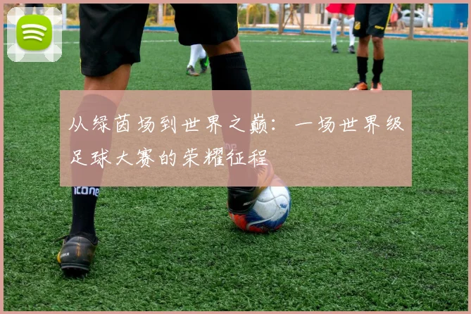 从绿茵场到世界之巅：一场世界级足球大赛的荣耀征程