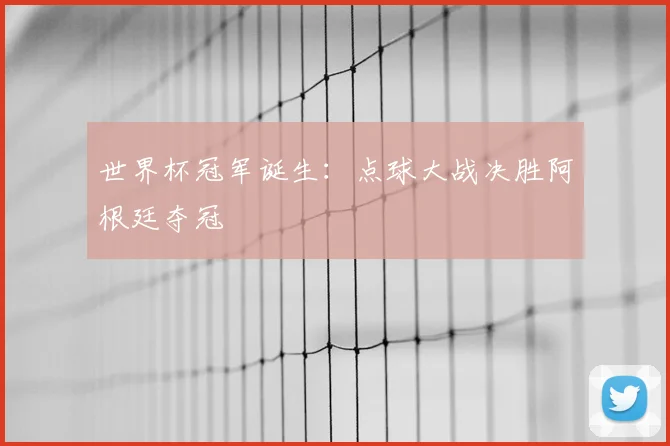 世界杯冠军诞生：点球大战决胜阿根廷夺冠